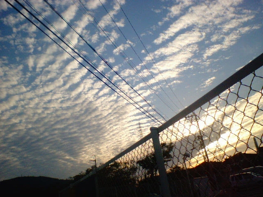 ファイル 198-2.jpg